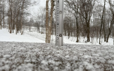 Niseko Snow Report, 30 December 2025