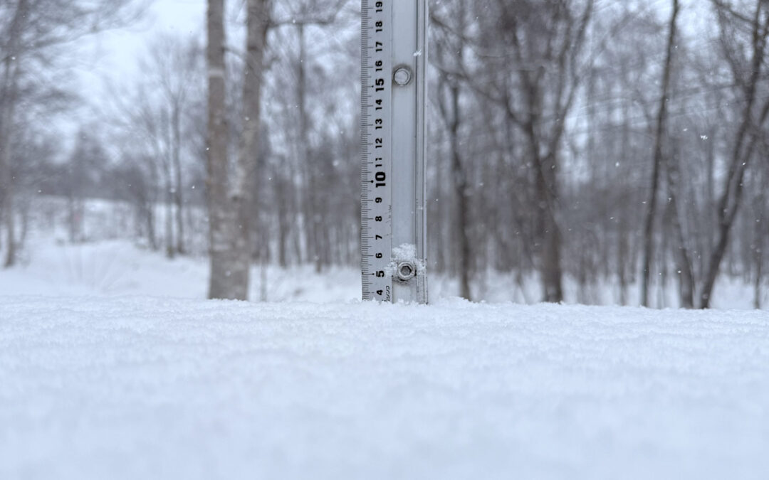 Niseko Snow Report, 31 December 2025