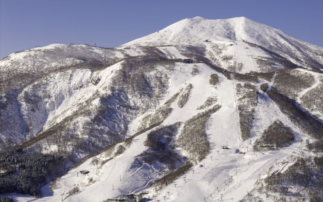 Niseko Snow Report, 20 December 2025