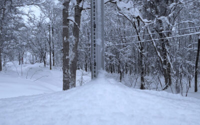 Niseko Snow Report, 2 January 2026