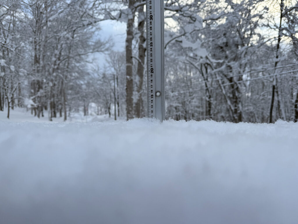 Snowfall measurement in Niseko showing 11 cm on January 3, 2026."