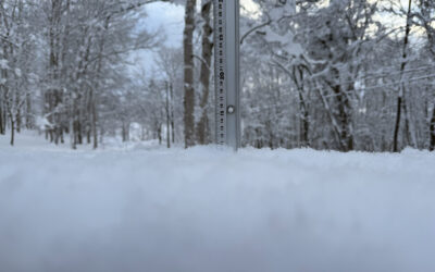 Niseko Snow Report, 3 January 2025