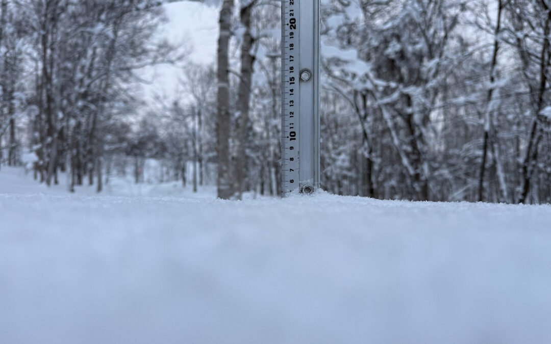 Niseko Snow Report, 4 January 2026