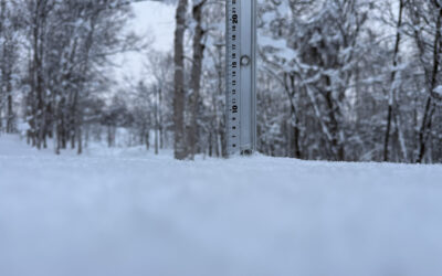 Niseko Snow Report, 4 January 2026