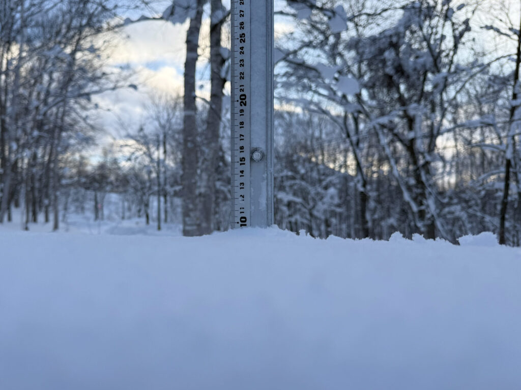 Snowfall measurement in Niseko showing 10 cm on January 5 2025."