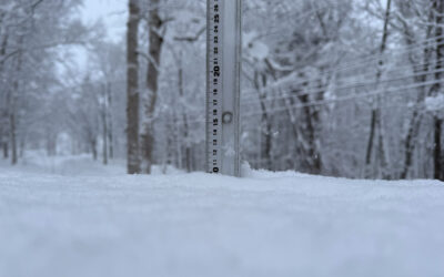 Niseko Snow Report, 6 January 2025