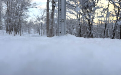 Niseko Snow Report, 7 January 2026