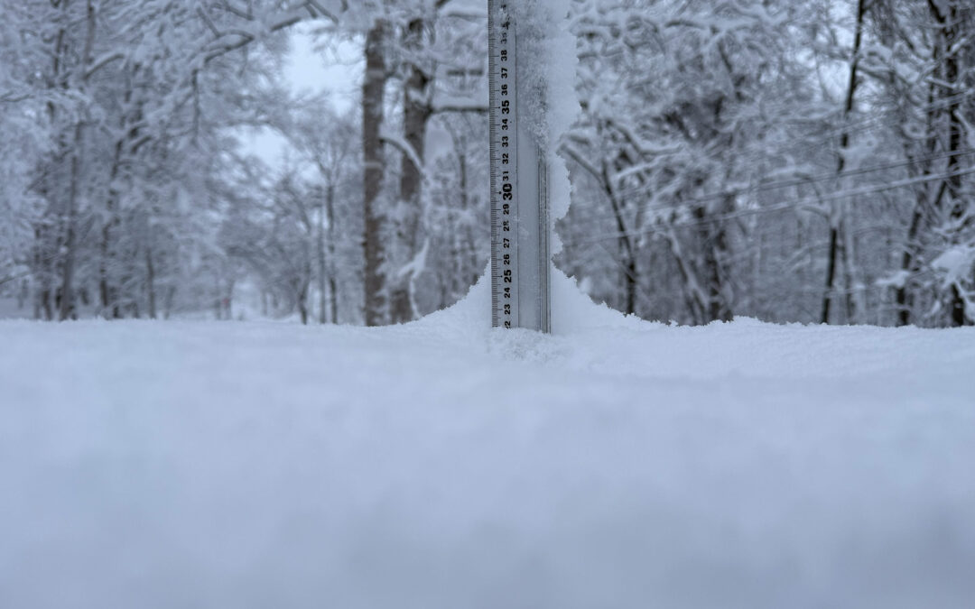 Niseko Snow Report, 8 January 2026