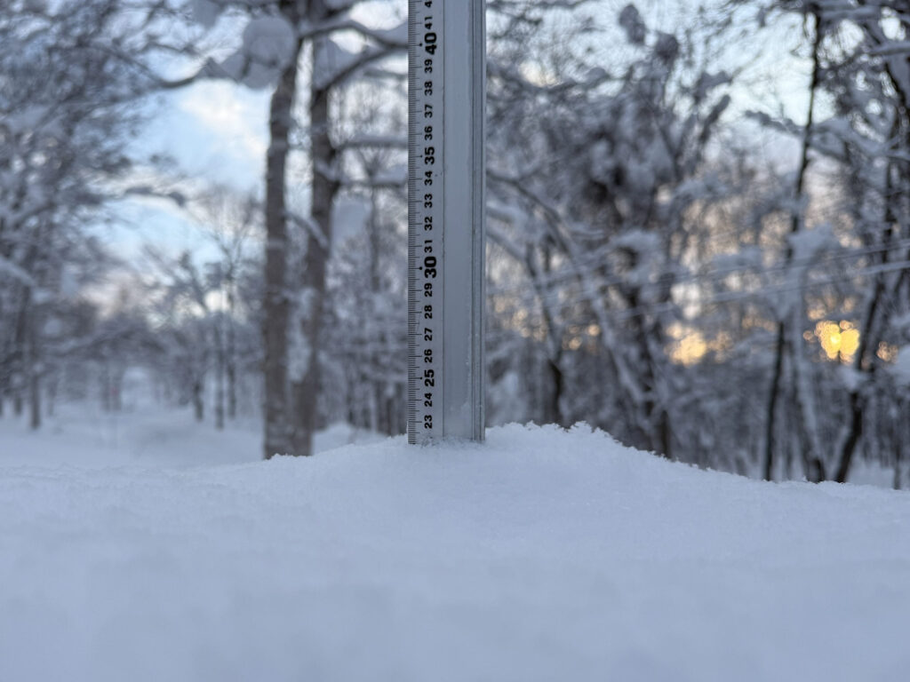 Snowfall measurement in Niseko showing 22 cm on January 10th, 2025