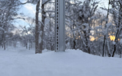 Niseko Snow Report, 9 January 2026
