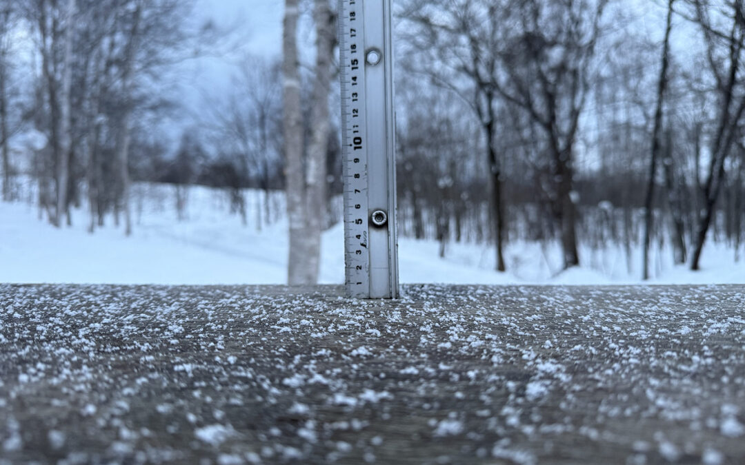 Niseko Snow Report, 11 January 2026