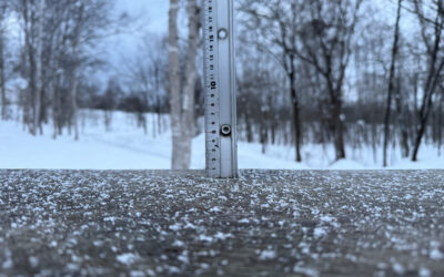 Niseko Snow Report, 11 January 2026