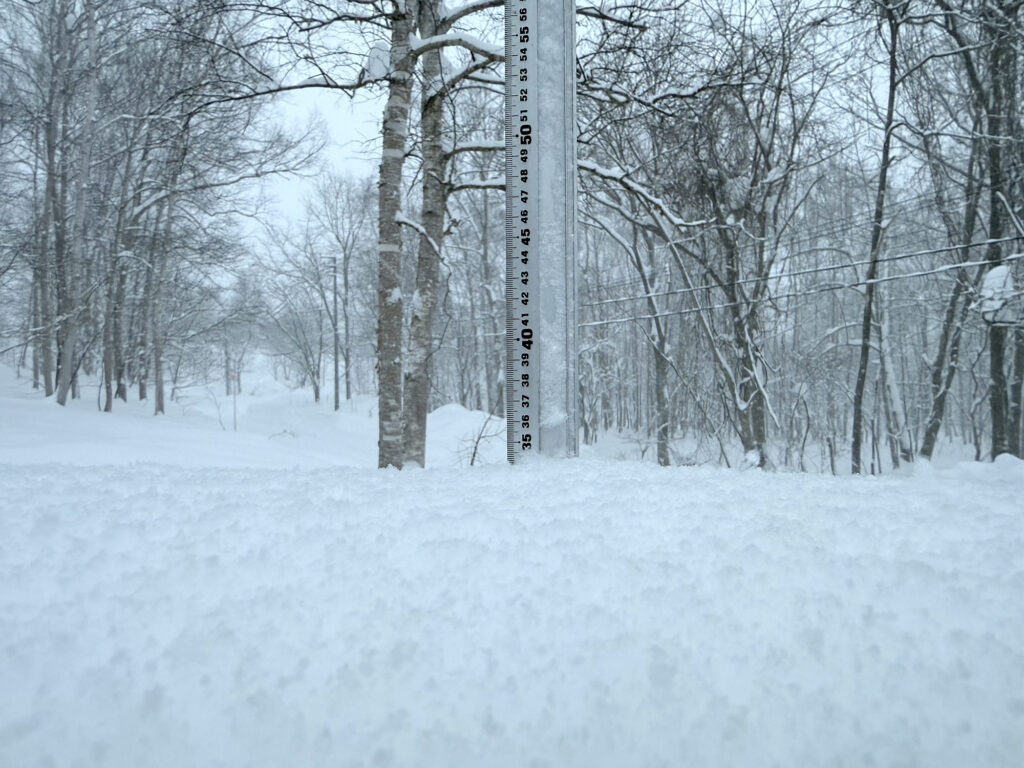Snowfall measurement in Niseko showing 35 cm on January 12, 2026