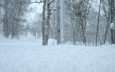 Niseko Snow Report, 12 January 2026