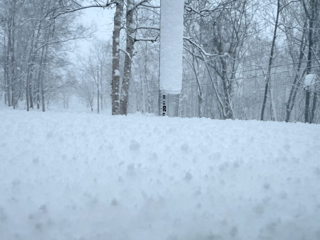 Snowfall measurement in Niseko showing 19 cm on January 14, 2026