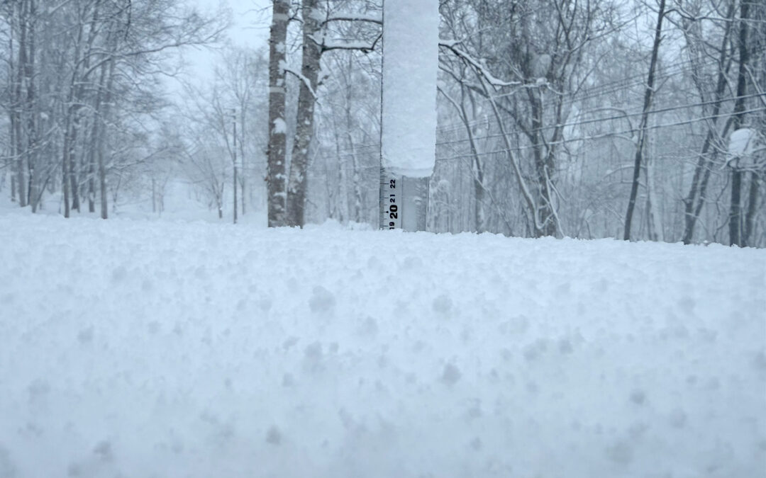 Niseko Snow Report, 14 January 2026