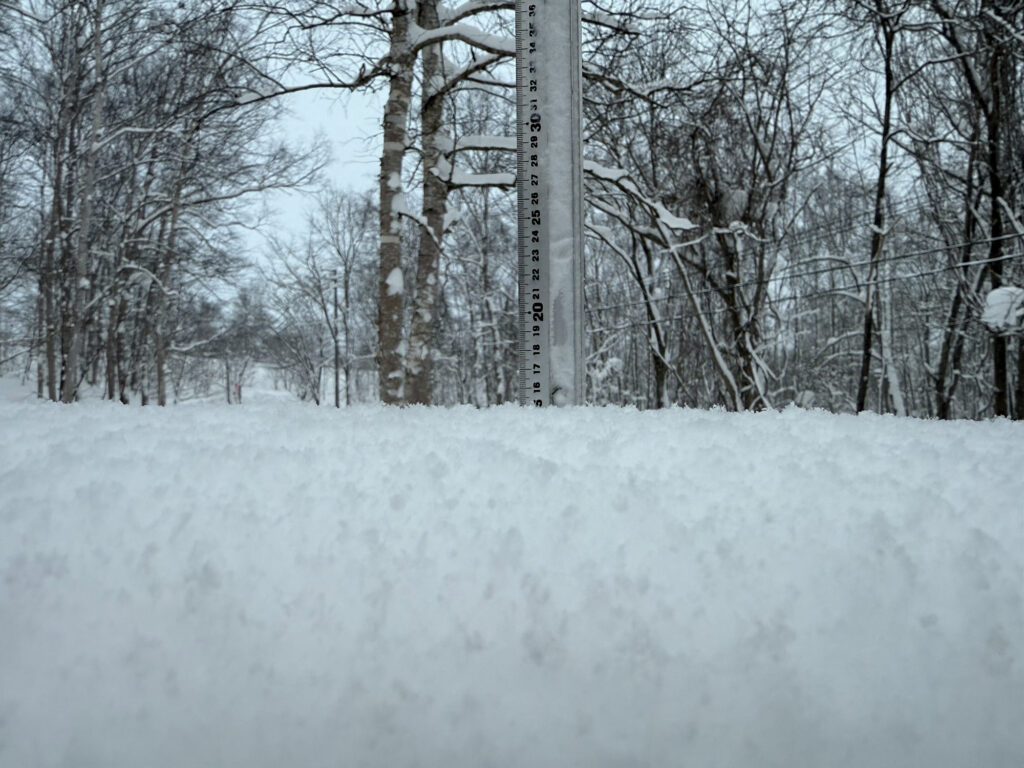 Snowfall measurement in Niseko showing 15 cm on January 15th 2025