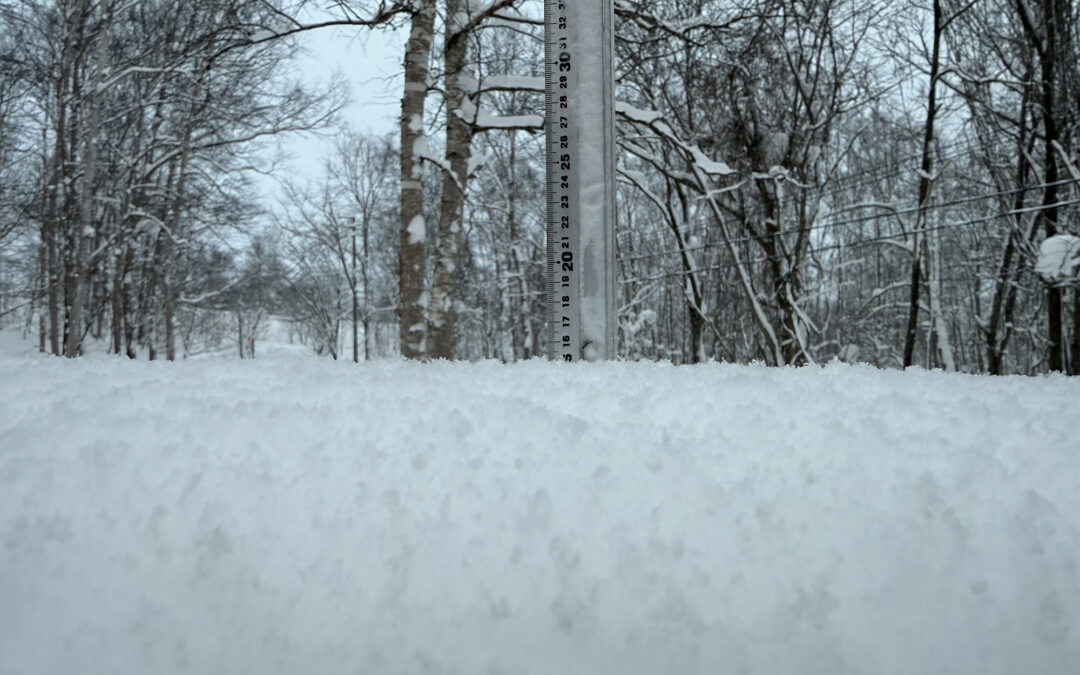 Niseko Snow Report, 15 January 2025