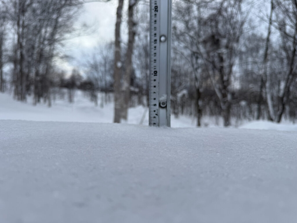 Snowfall measurement in Niseko showing 2 cm on January 16, 2025