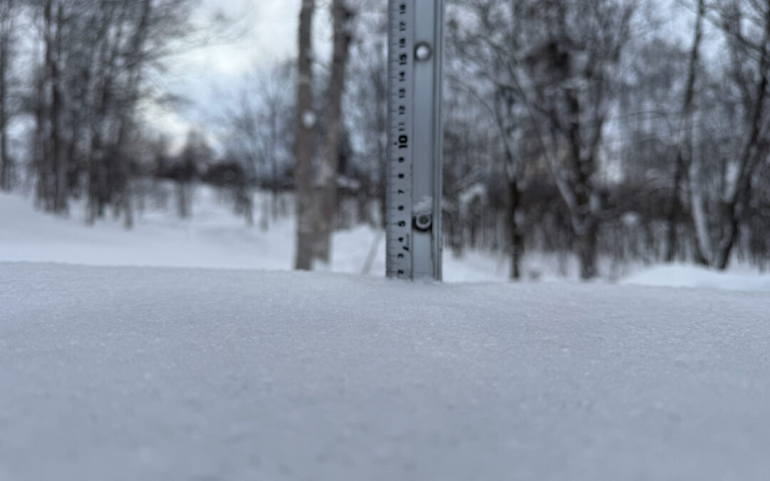 Niseko Snow Report, 16 January 2026