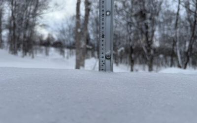 Niseko Snow Report, 16 January 2026