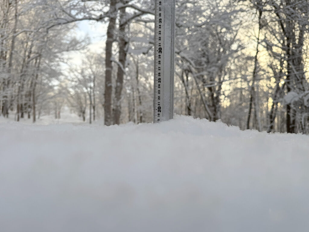 Snowfall measurement in Niseko showing 19 cm on January 17, 2026