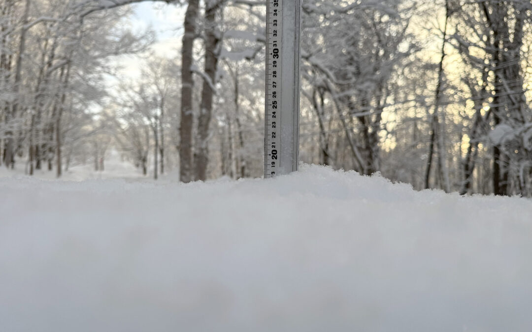 Niseko Snow Report, 17 January 2026