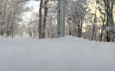 Niseko Snow Report, 17 January 2026