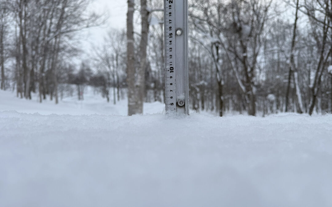 niseko snow report, 19 january 2026