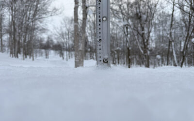 niseko snow report, 19 january 2026