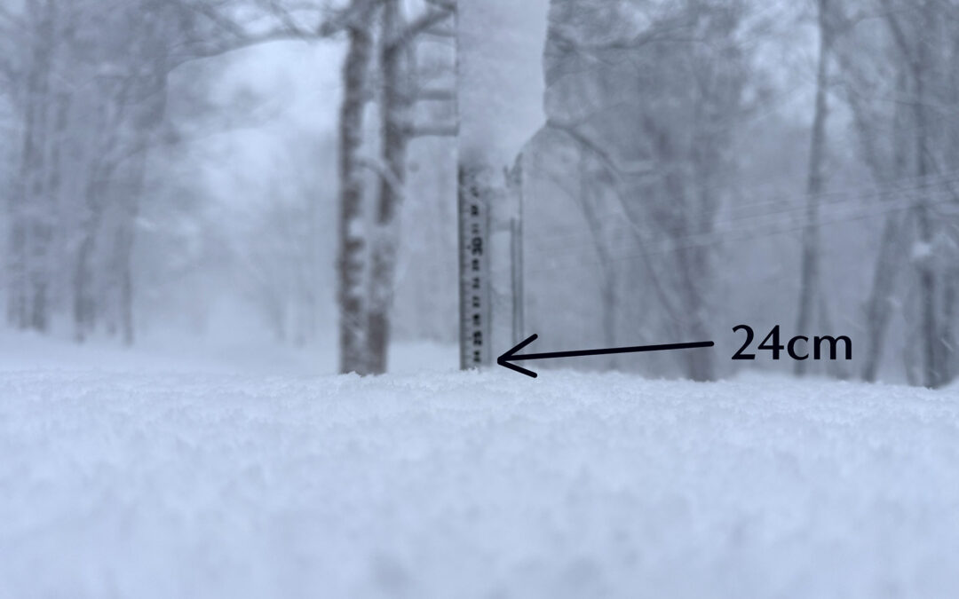 Niseko Snow Report, 20 January 2026