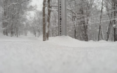 Niseko Snow Report, 21 January 2026