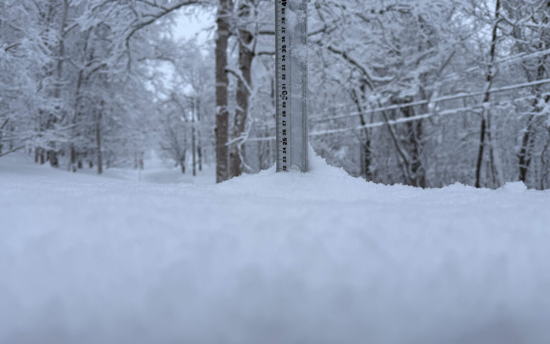 Niseko Snow Report, 23 January 2026