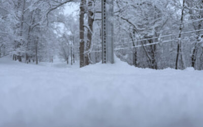 Niseko Snow Report, 23 January 2026