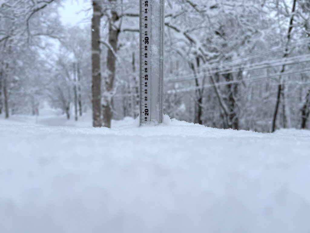 Snowfall measurement in Niseko showing 19 cm on January 24, 2026."
