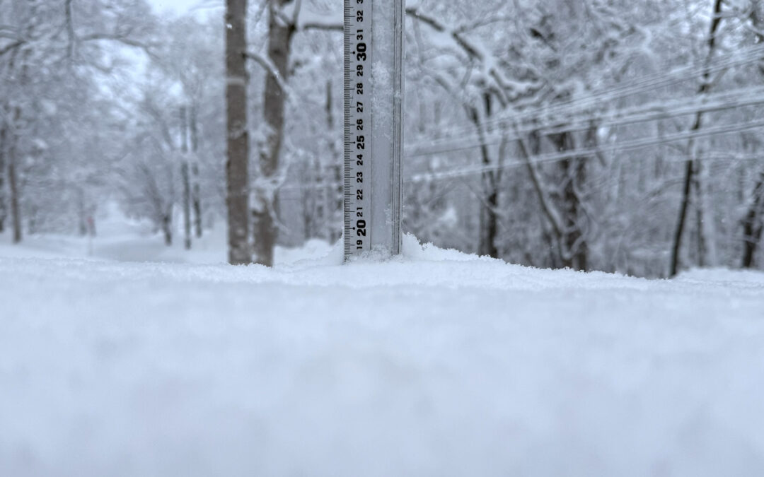 Niseko Snow Report, 24 January 2026