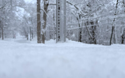 Niseko Snow Report, 24 January 2026