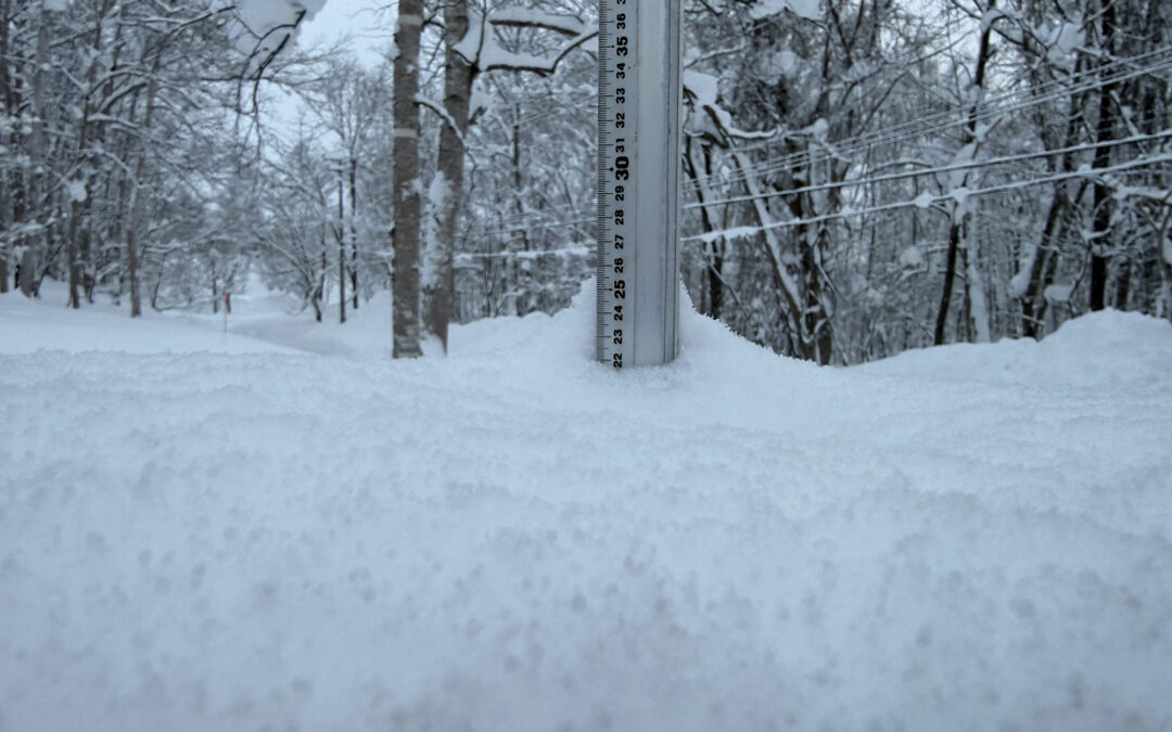 Niseko Snow Report, 26 January 2026