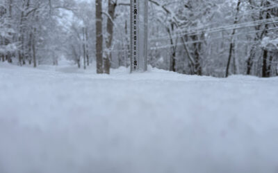 Niseko Snow Report, 27 January 2026